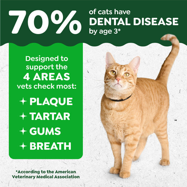 GREENIES Feline Dental Cat Treats, Catnip Flavor Tub
