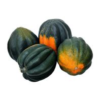 Acorn Squash️