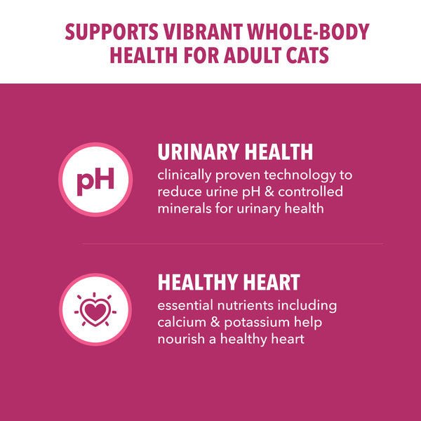 IAMS PROACTIVE HEALTH Adult Urinary Tract Healthy Dry Cat Food with Chicken Cat Kibble, 3.5 lb. Bag
