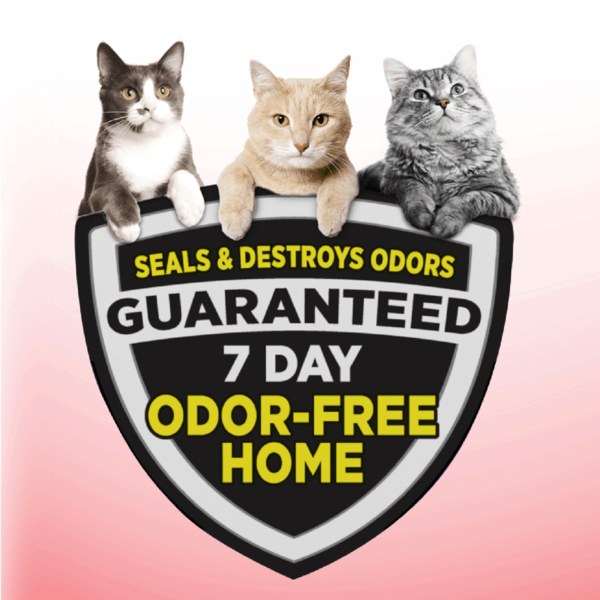 Arm & Hammer Clump & Seal Multi-Cat Complete Odor Sealing Cat Litter
