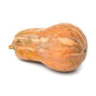 Squash️