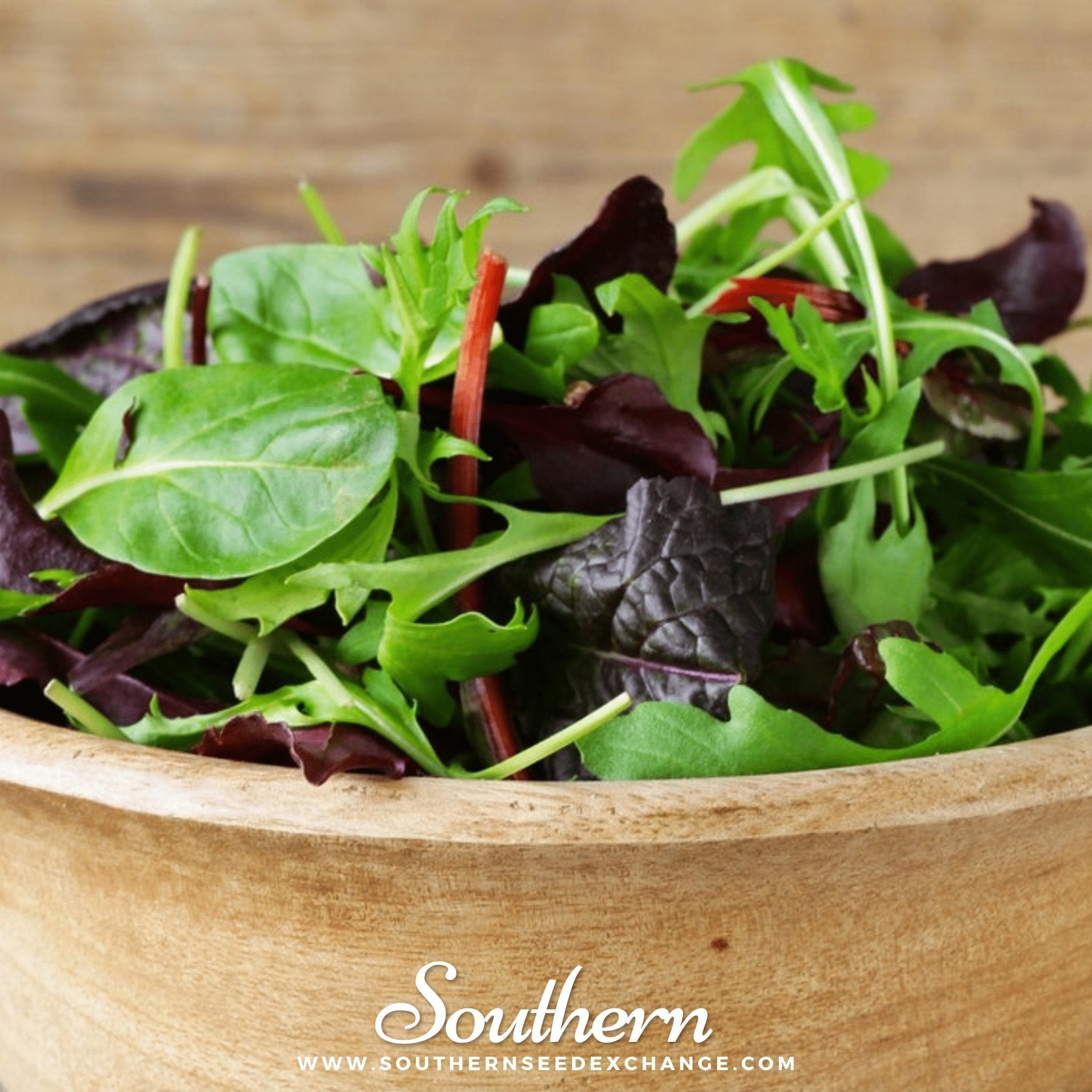 Gourmet Mix Lettuce – 500 Seeds