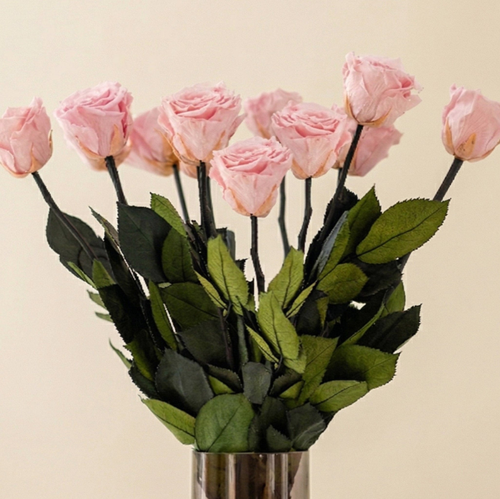 Long Stem Roses | Light Pink Roses