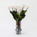 Long Stem Roses | White Roses
