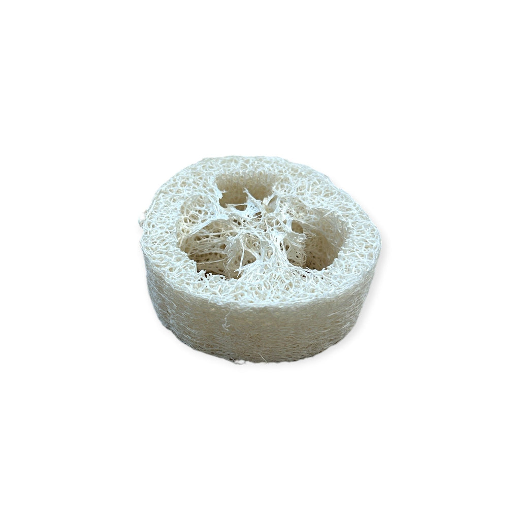 Loofah Soap Disc Lift | 1" Thick