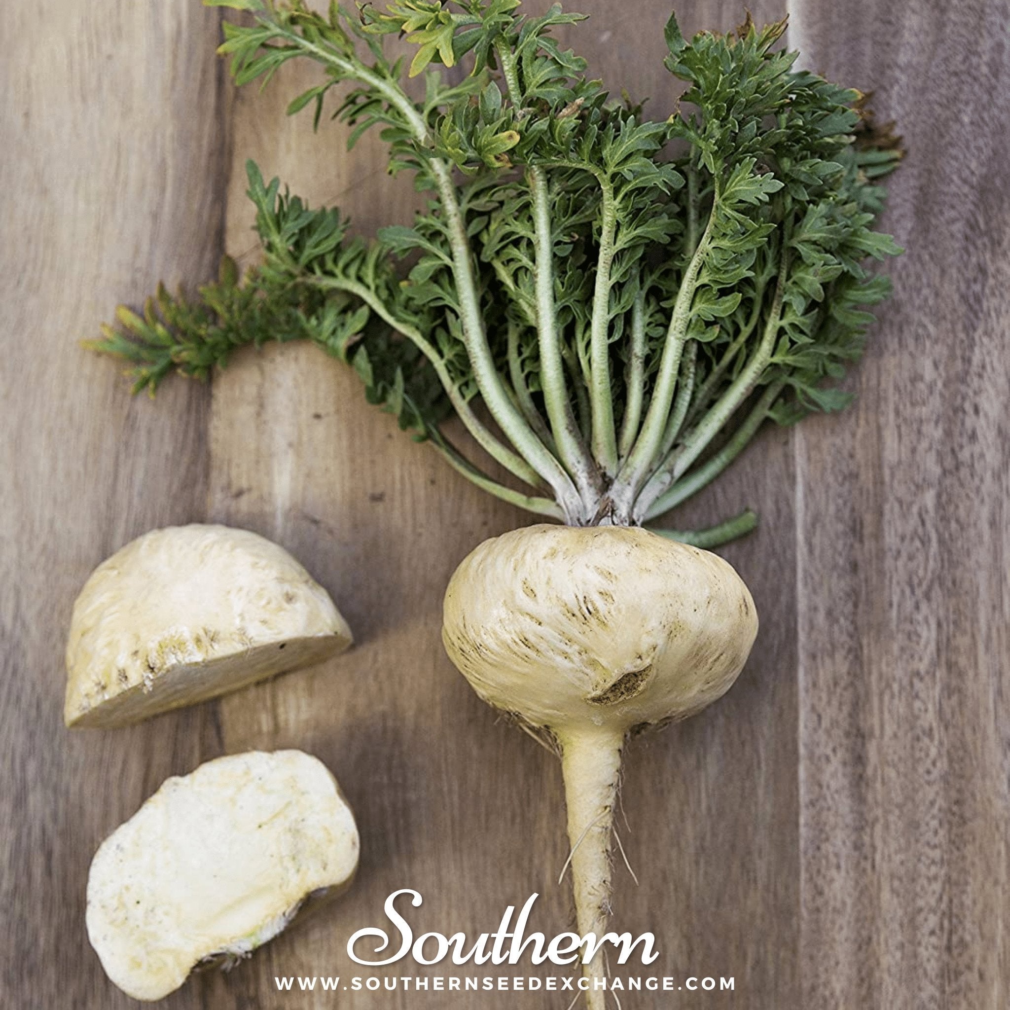 Maca – 25 Seeds