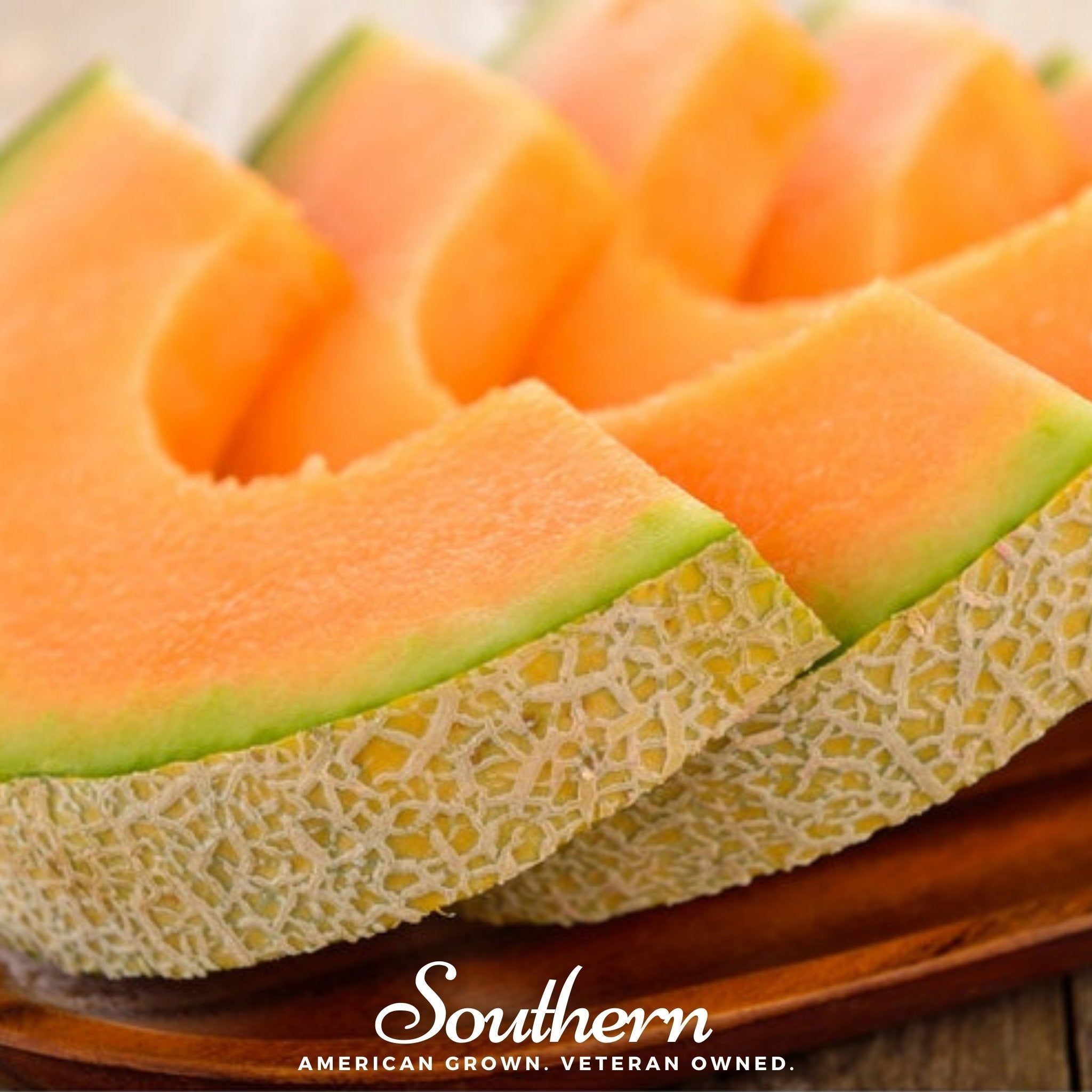 Planter’s Jumbo Melon – 50 Seeds