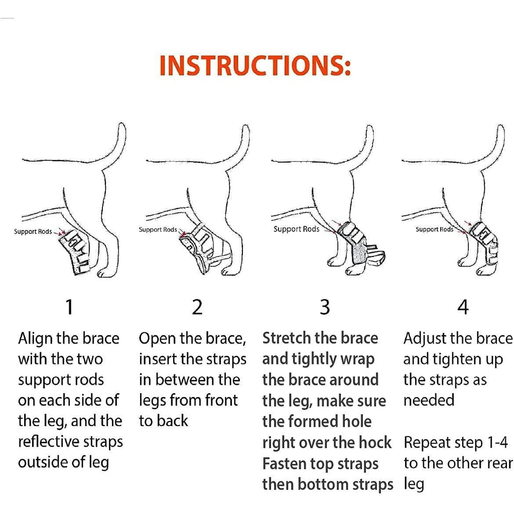 NeoAlly 3-in-1 Long Rear Leg Hock Brace - Rigid and Spring Inserts | Safety Reflective Straps [Long Version] (Pair)