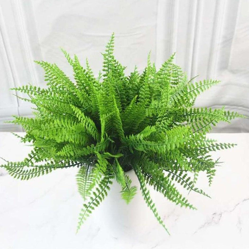 Green fern plant on a white surface with a white curtain background