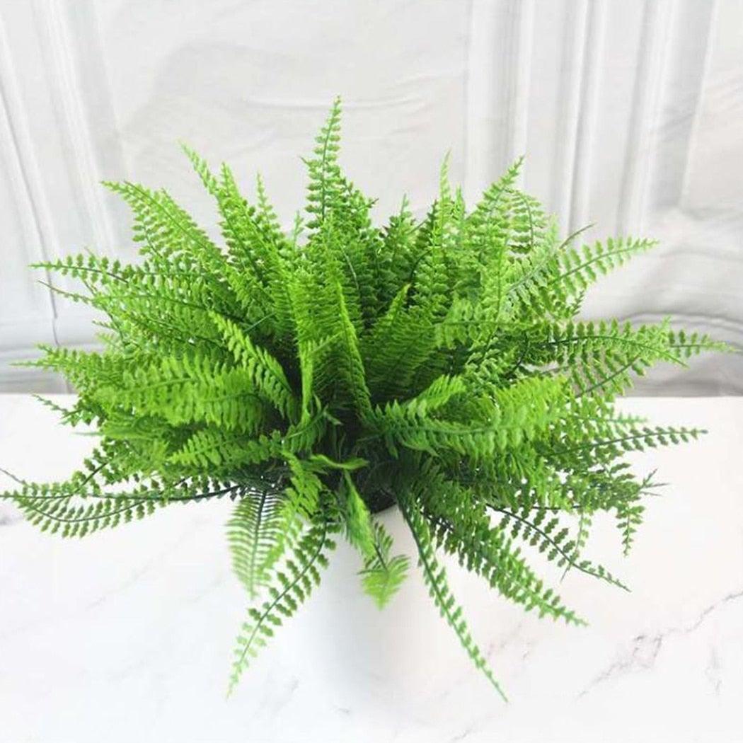 Green fern plant on a white surface with a white curtain background