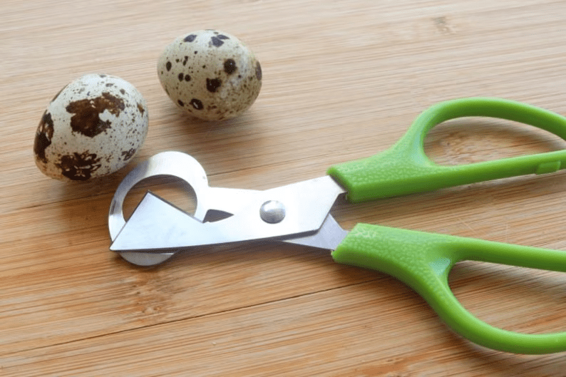 Green-handled quail egg scissors on a wooden cutting board beside two organic jumbo quail eggs, designed for cleanly opening delicate eggshells. Perfect accessory for preparing farm-fresh quail eggs from NW Quail Farm in Moses Lake, Washington, USA.