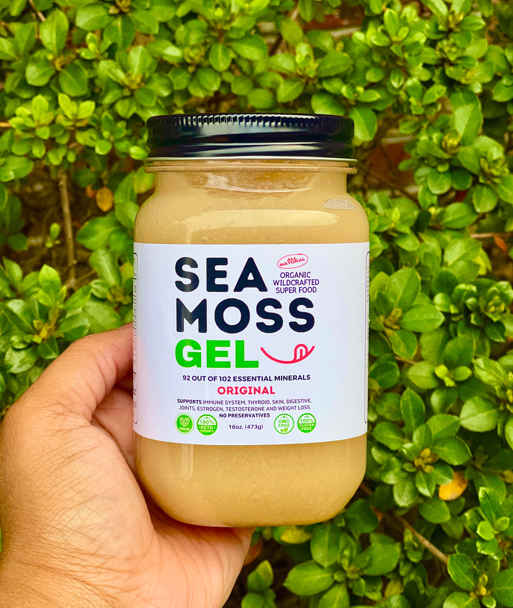 Hand holding a 16 oz jar of Organic Original Sea Moss Gel made with 100% wildcrafted St. Lucia sea moss, premium vegan superfood supplement rich in 92 essential vitamins and minerals, gluten-free, non-GMO, made in the USA, supporting immune health, digestive wellness, energy, skin health, and overall nutrition against a lush green natural background.