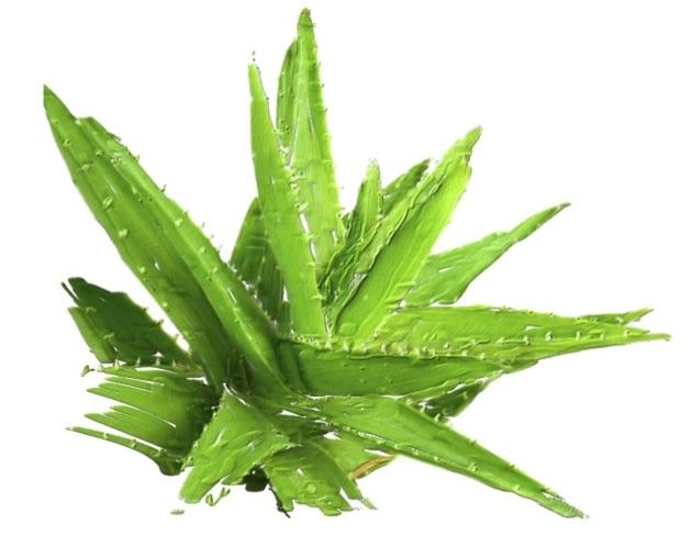 Certified Organic Rinse Free Facial Cleanser|Aloe vera All -in-1 Skin freshener All skin Types even Sensitive/Baby's wipe