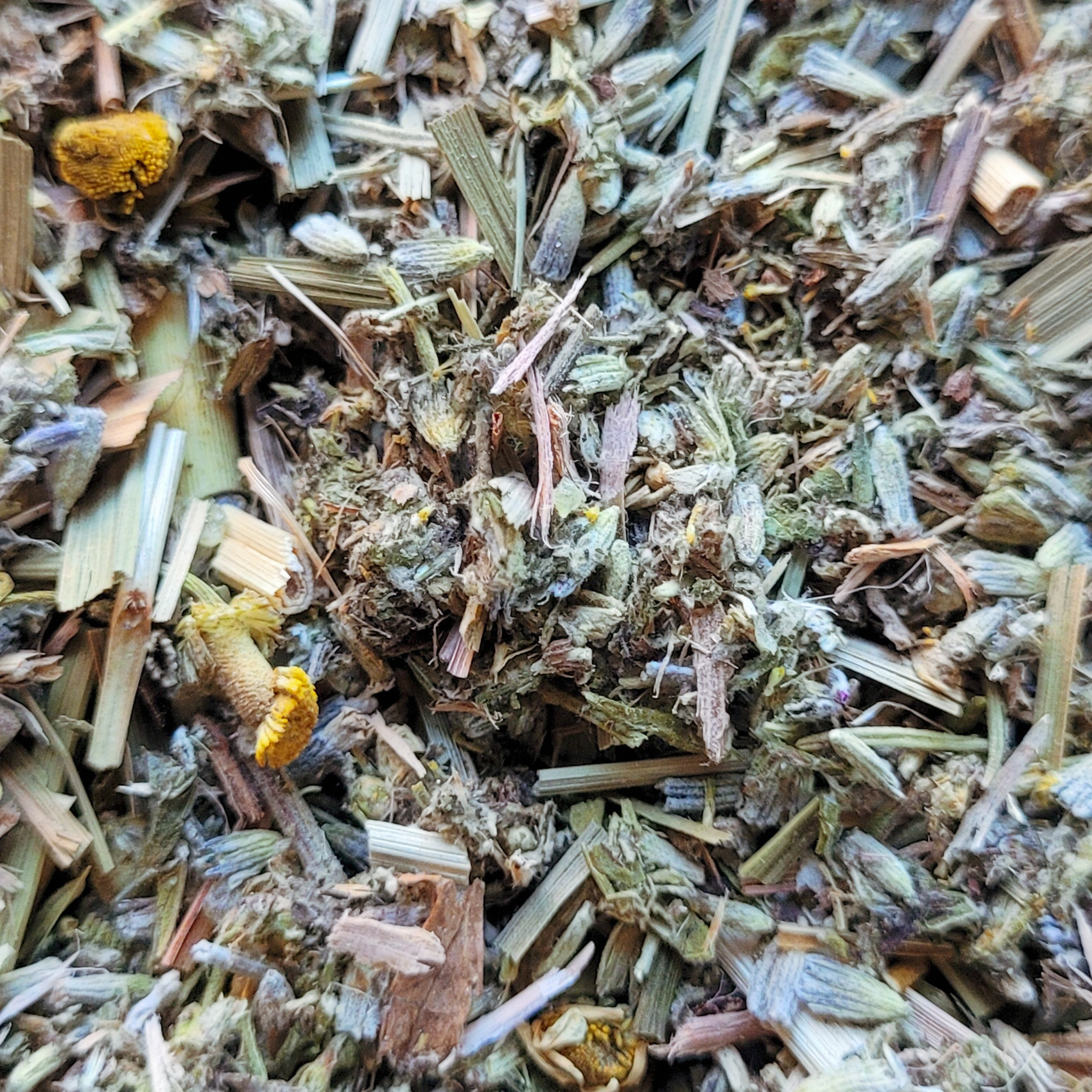 Dream Magick Herbal Incense – Mugwort Lavender Frankincense Blend for Dreamwork, Intuition & Sleep Rituals