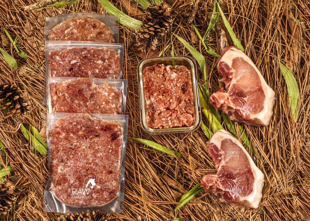 Raw PMR pork meal blend for cats and dogs featuring vacuum-sealed raw patties, ground pork meal in a glass container, and two raw pork chops displayed on a rustic bed of pine needles, pinecones, and forest greenery, showcasing a biologically appropriate prey model raw diet by Raw Instincts Florida.