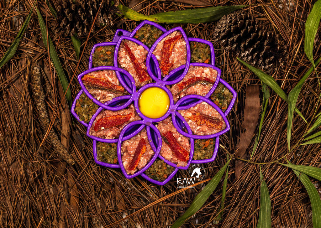 Raw PMR pork meal blend for cats and dogs arranged in a flower-shaped slow feeder bowl on a natural bed of pine needles and forest leaves, showcasing a biologically appropriate prey model raw diet by Raw Instincts Florida.