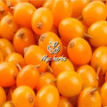 Sea Buckthorn