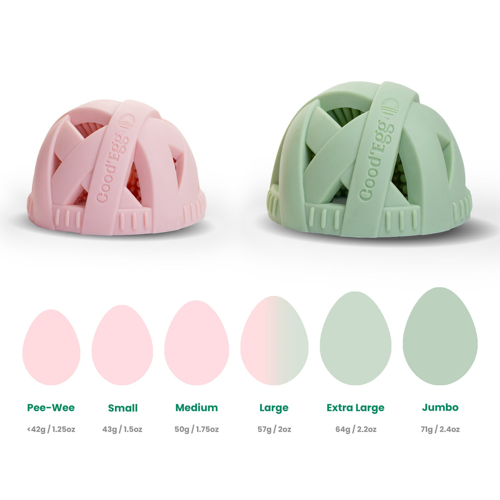 Large and extra-large GoodEgg silicone egg cleaning brushes shown with an egg size compatibility chart for large, extra-large, and jumbo eggs on a white background.