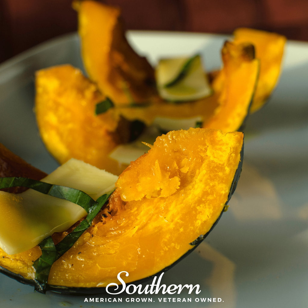 Buttercup Burgess Winter Squash – 20 Seeds