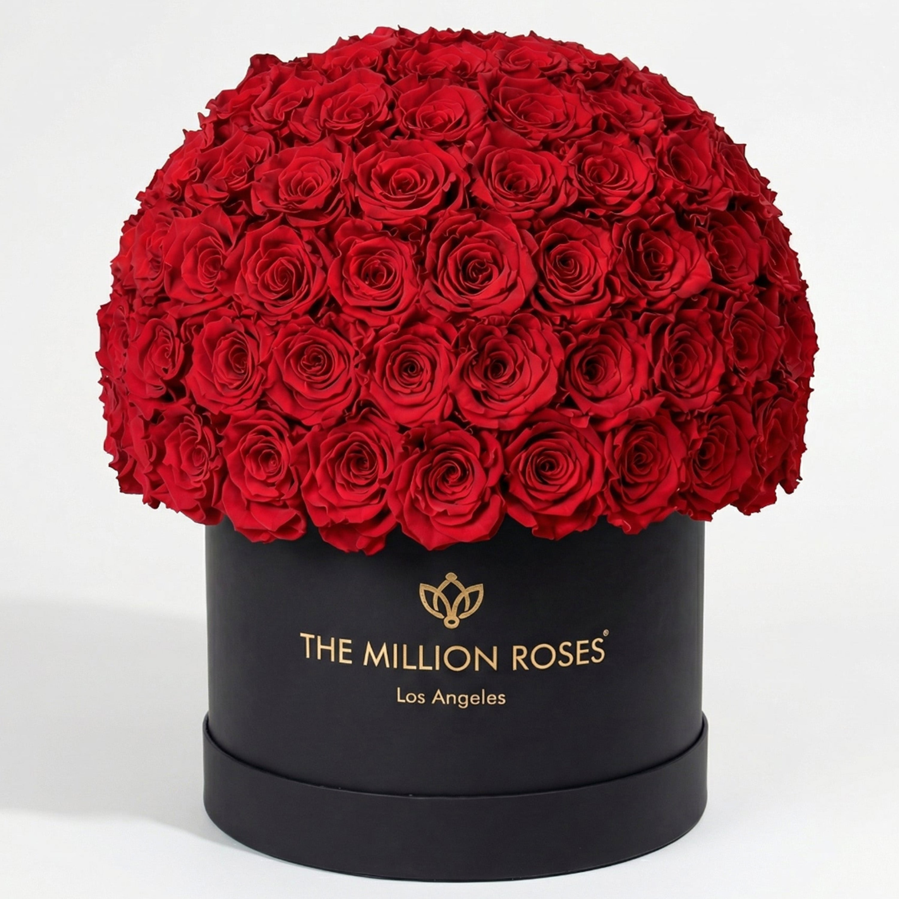 Supreme Black Superdome Box | Red Roses