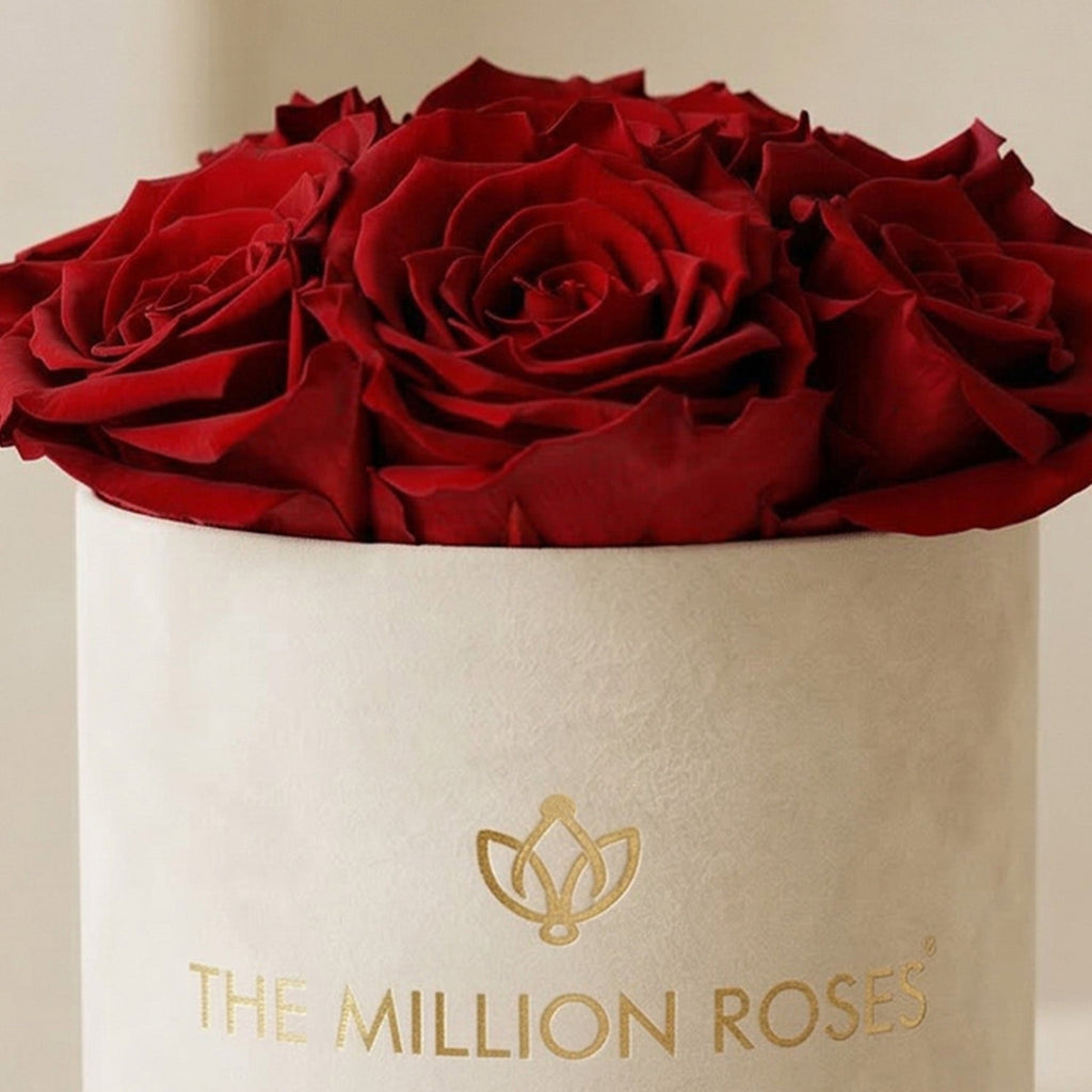 Essence Beige Suede Box | Red Roses
