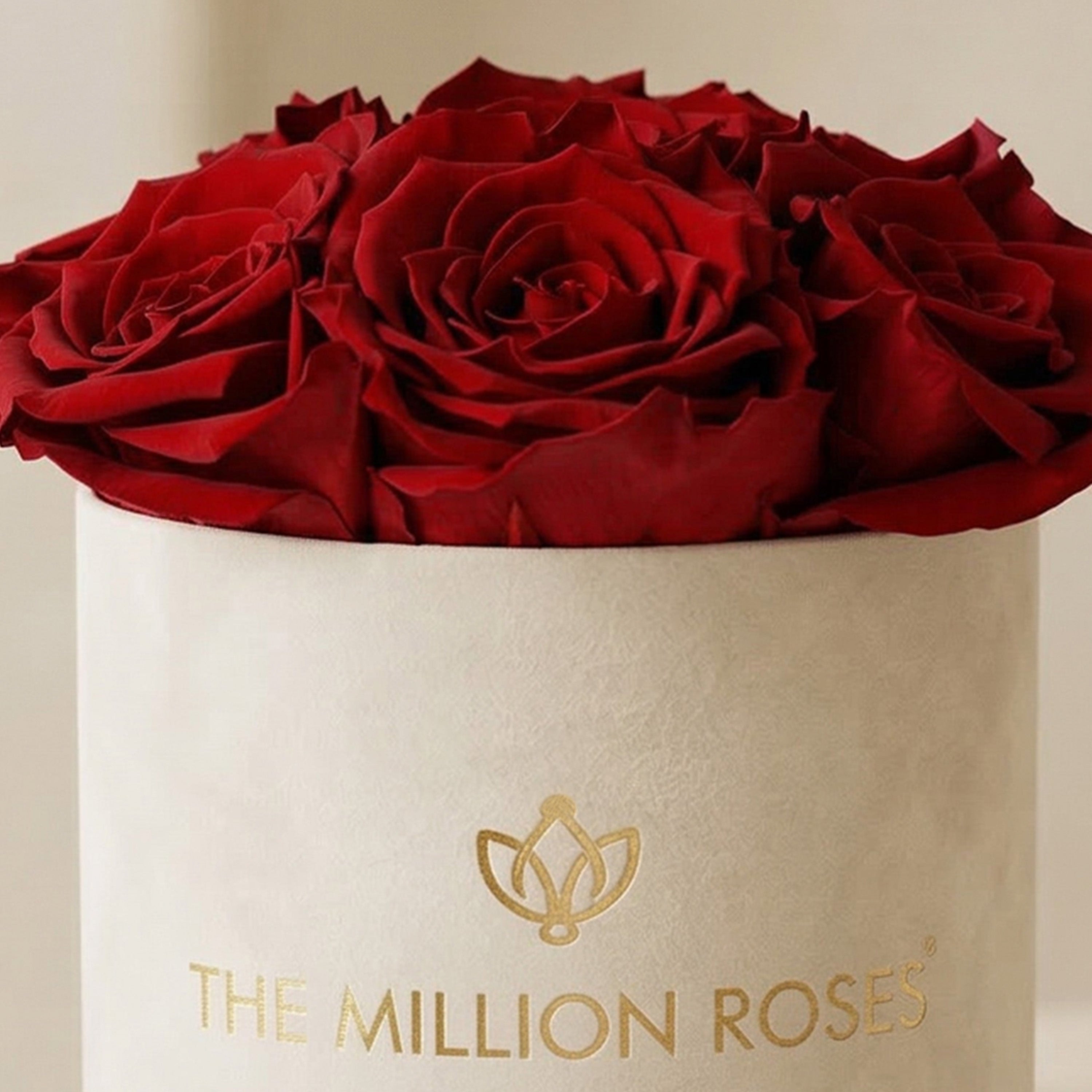 Essence Beige Suede Box | Red Roses