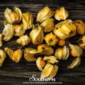 Husk Cherry Tomatillo – 20 Seeds