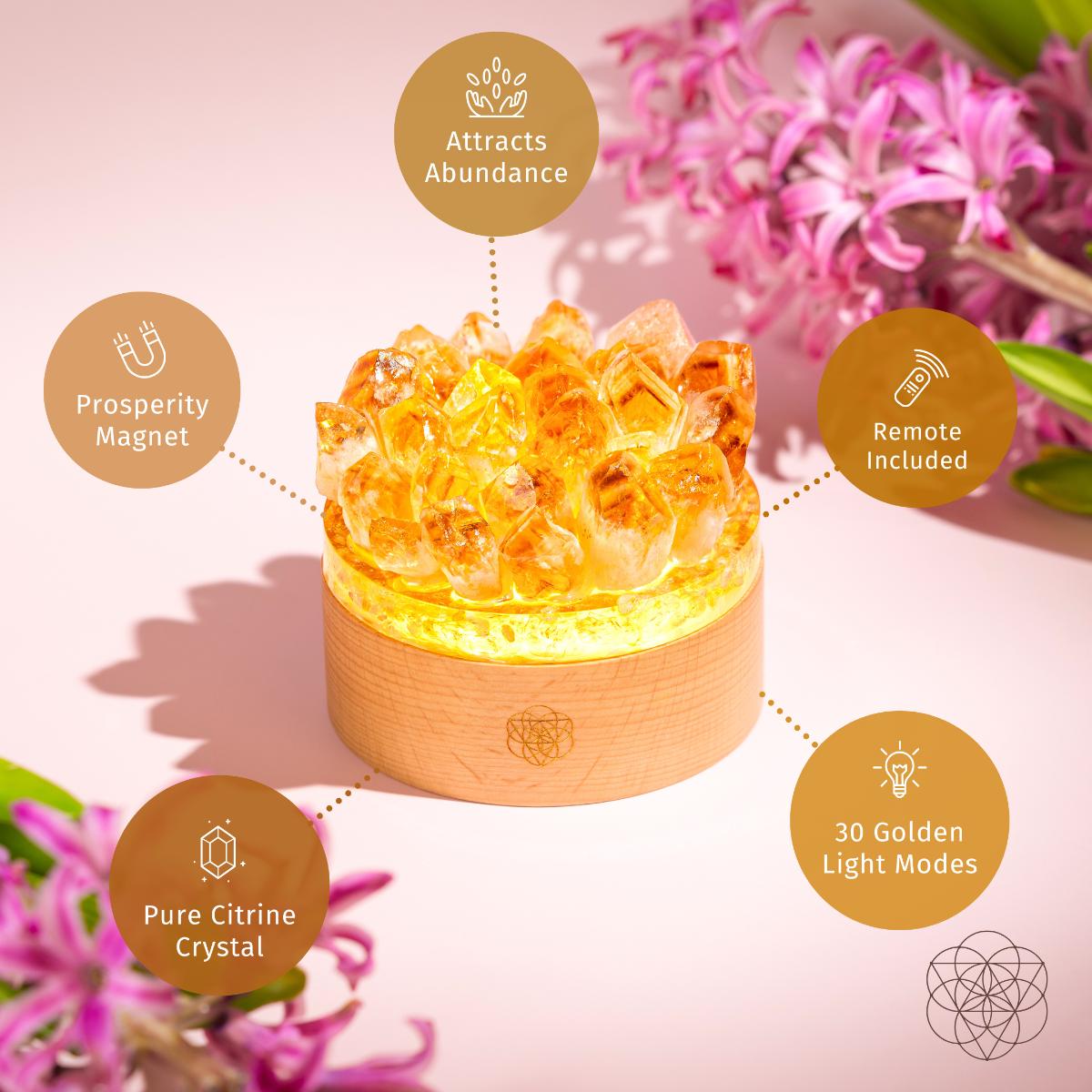 Crystal lamp with features highlighted on a pink background with flowers. Turn My Life to Gold - Midas Citrine Lamp