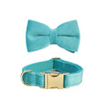 Teal bow tie and collar set for animals, pets, dogs on a white background