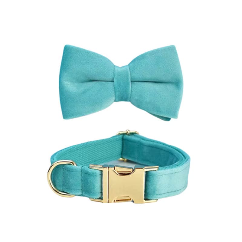 Teal bow tie and collar set for animals, pets, dogs on a white background