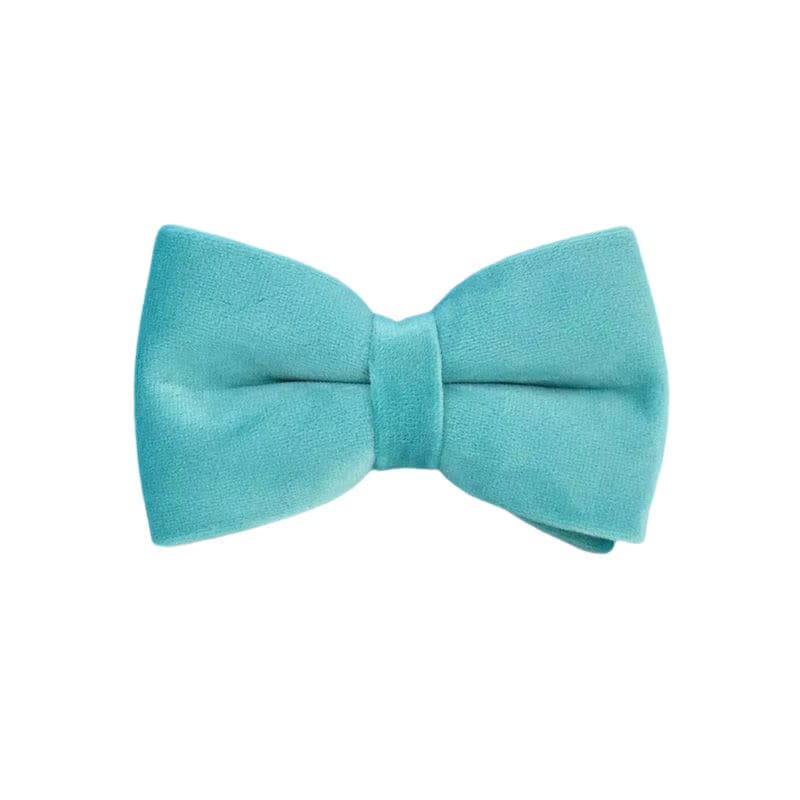 Turquoise bow tie on a white background