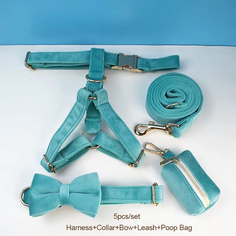 Teal pet harness, collar, bow, leash, and poop bag set on a white background