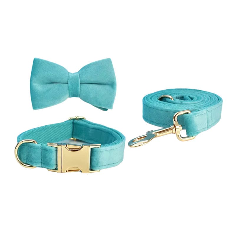 Teal dog collar, bow tie, and leash set with gold hardware on a white background