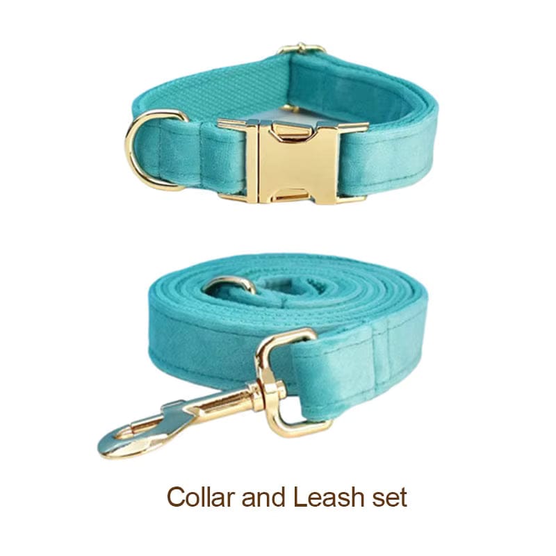 Teal dog collar and leash set with gold hardware on a white background