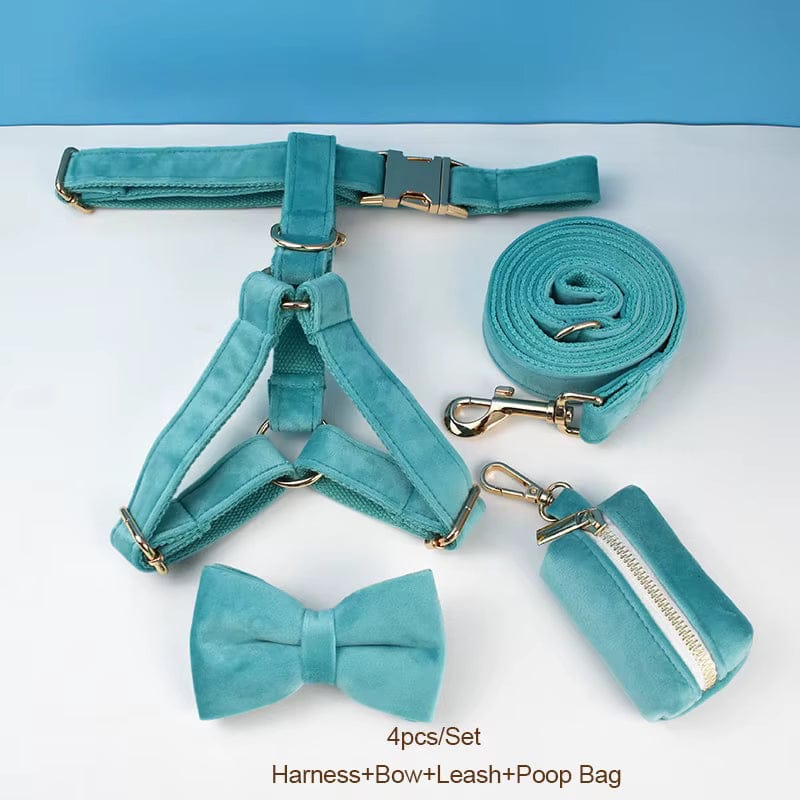 Teal pet harness, bow, leash, and poop bag set on a white background with blue border.