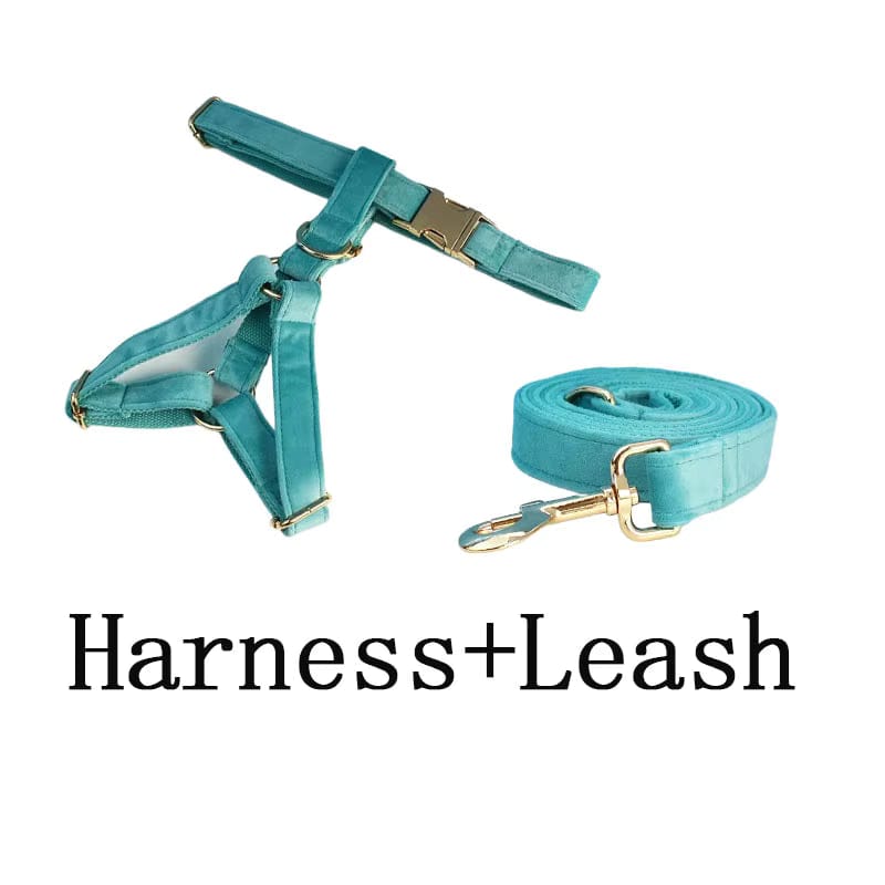 Teal harness and leash set on a white background with 'Harness+Leash' text.