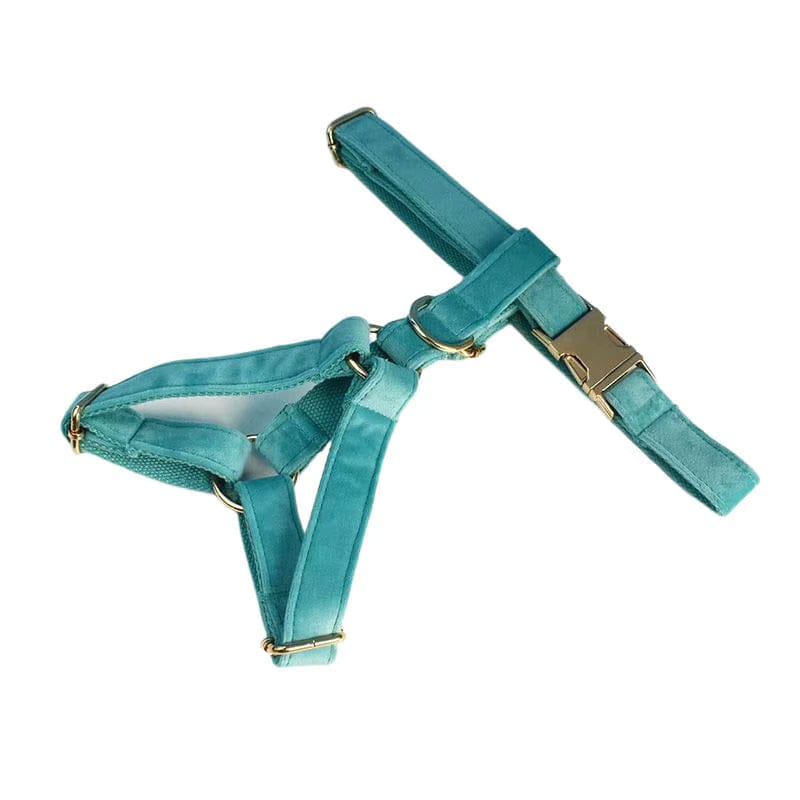 Teal dog harness with gold hardware on a white background