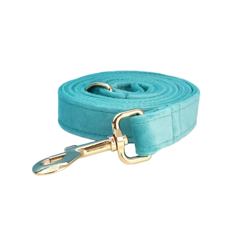 Turquoise dog leash with gold hardware on a white background