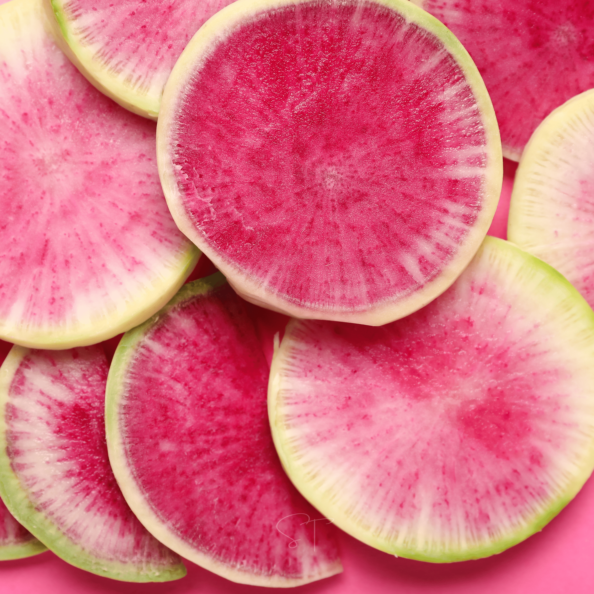 Watermelon Radish – 50 Seeds