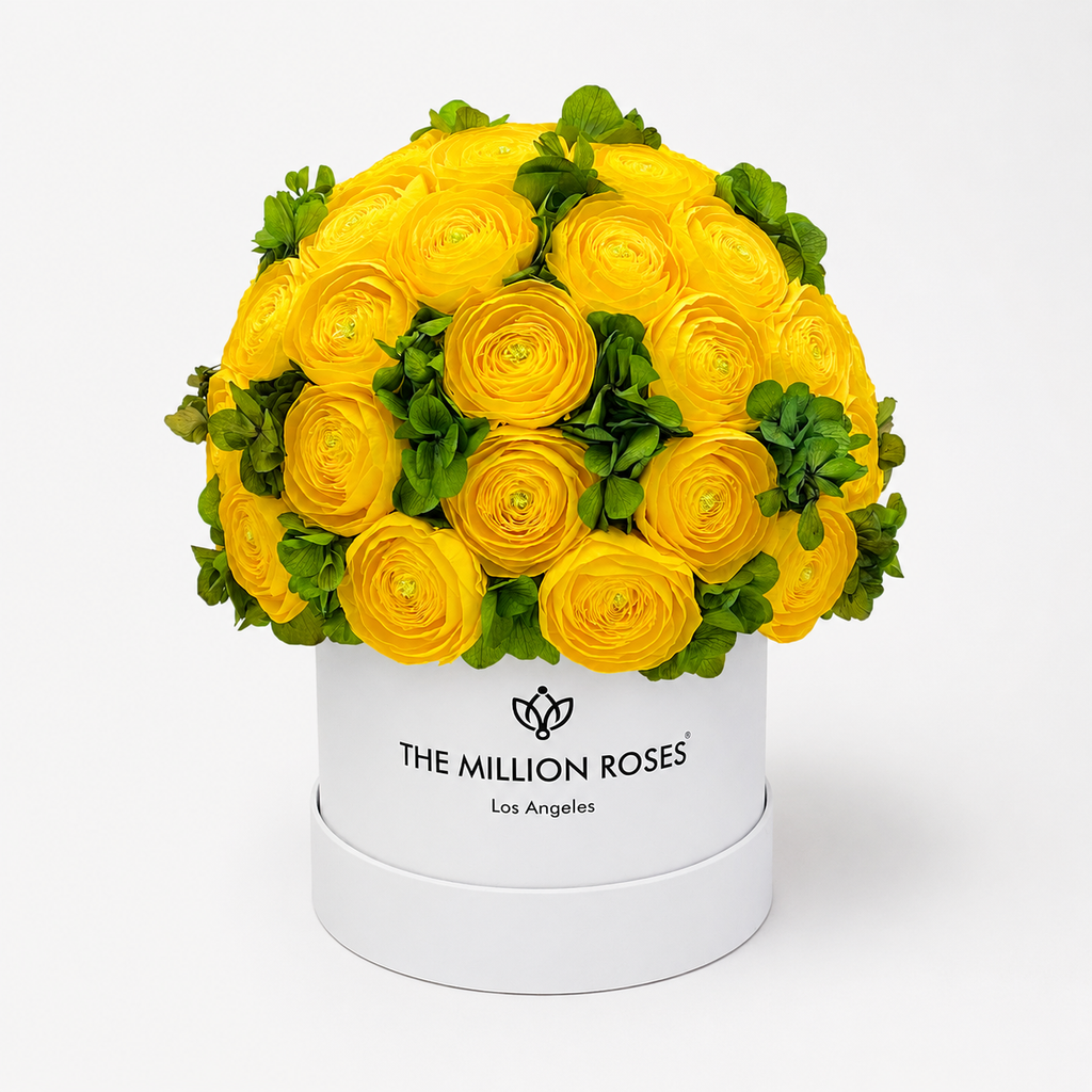 Classic White Box | Yellow Persian Buttercups & Green Hydrangeas