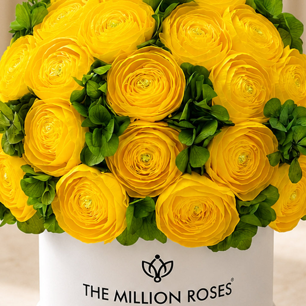 Classic White Box | Yellow Persian Buttercups & Green Hydrangeas