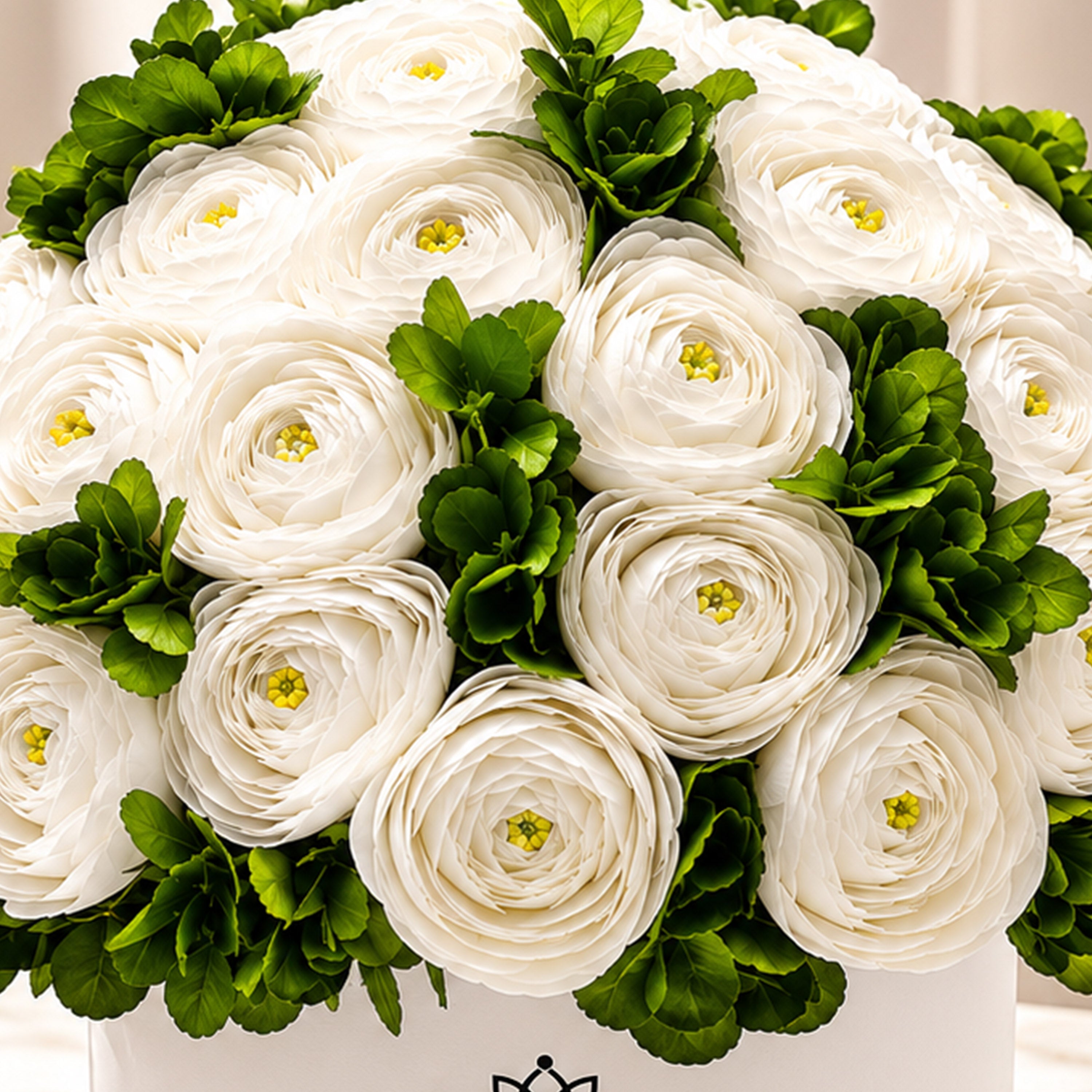 Classic White Box | White Persian Buttercups & Green Hydrangeas