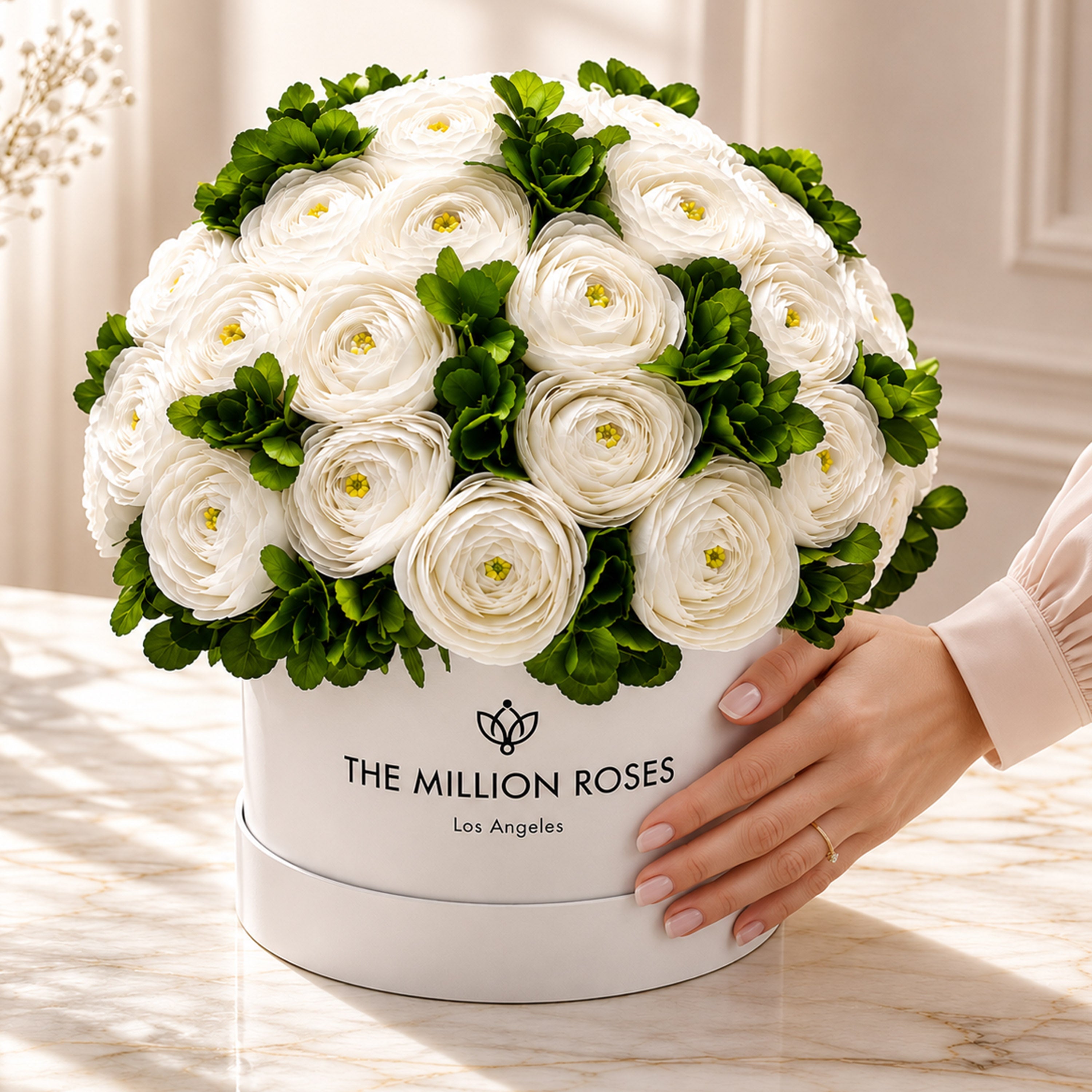 Classic White Box | White Persian Buttercups & Green Hydrangeas