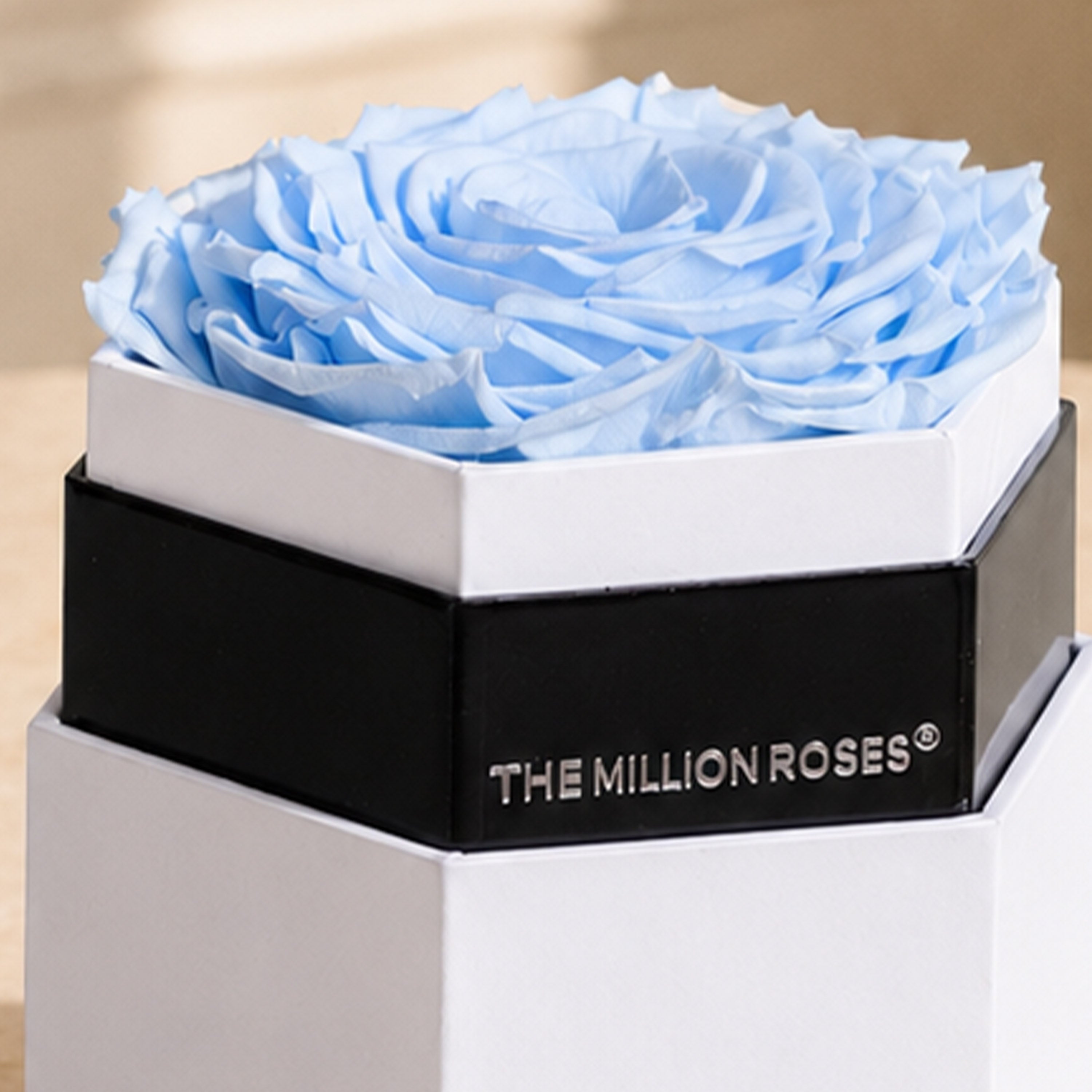 One in a Million™ White Hexagon Box | Light Blue Rose