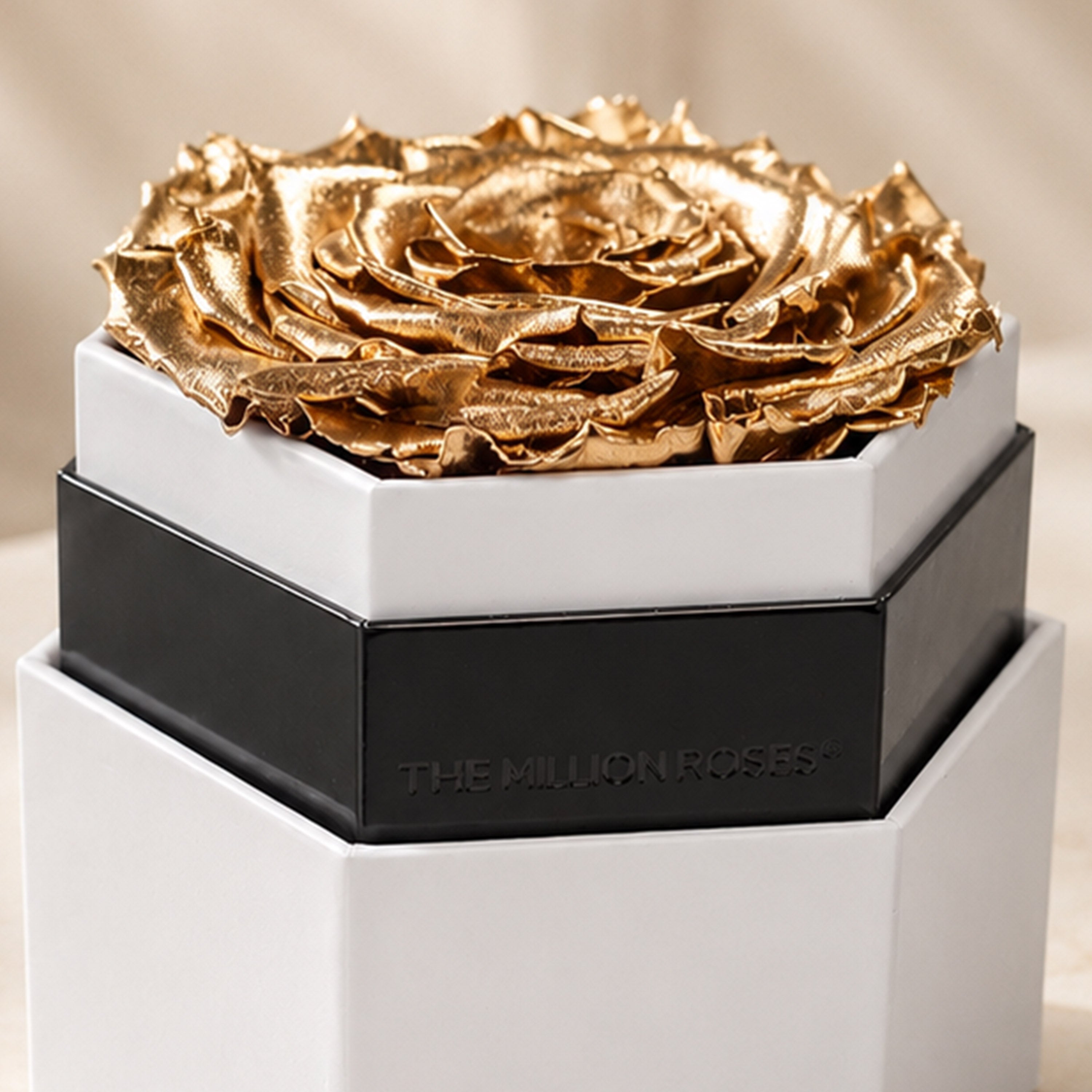 One in a Million™ White Hexagon Box | Gold Rose