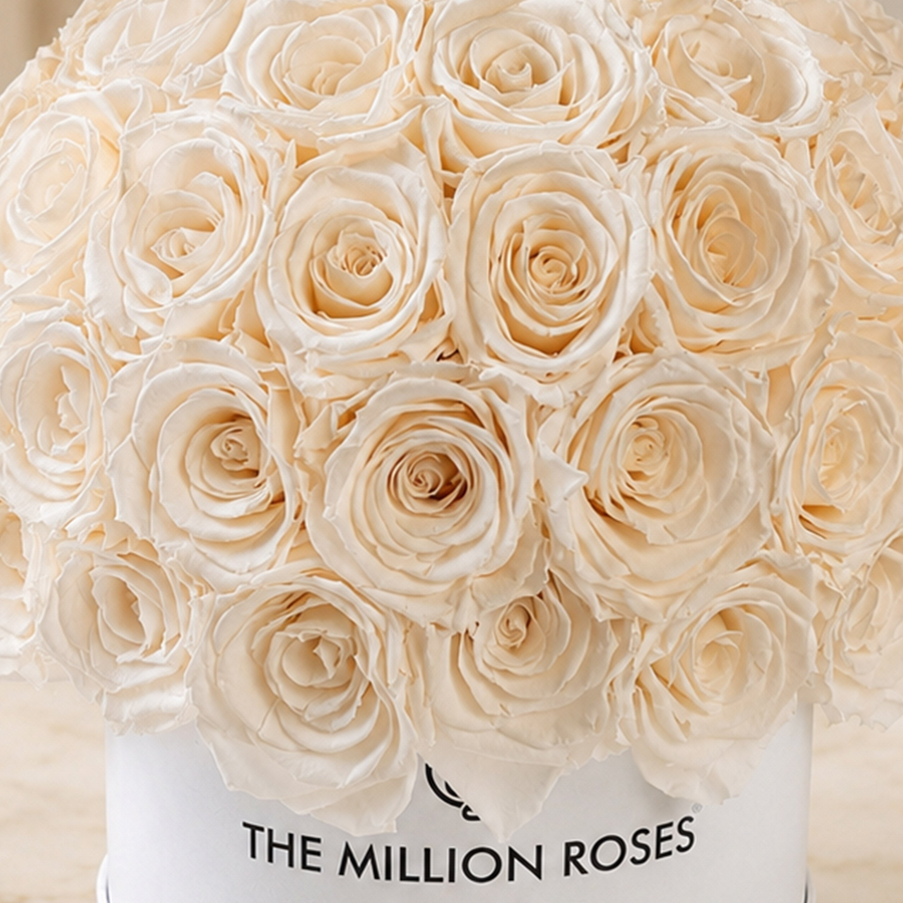Classic White Superdome Box | White Roses