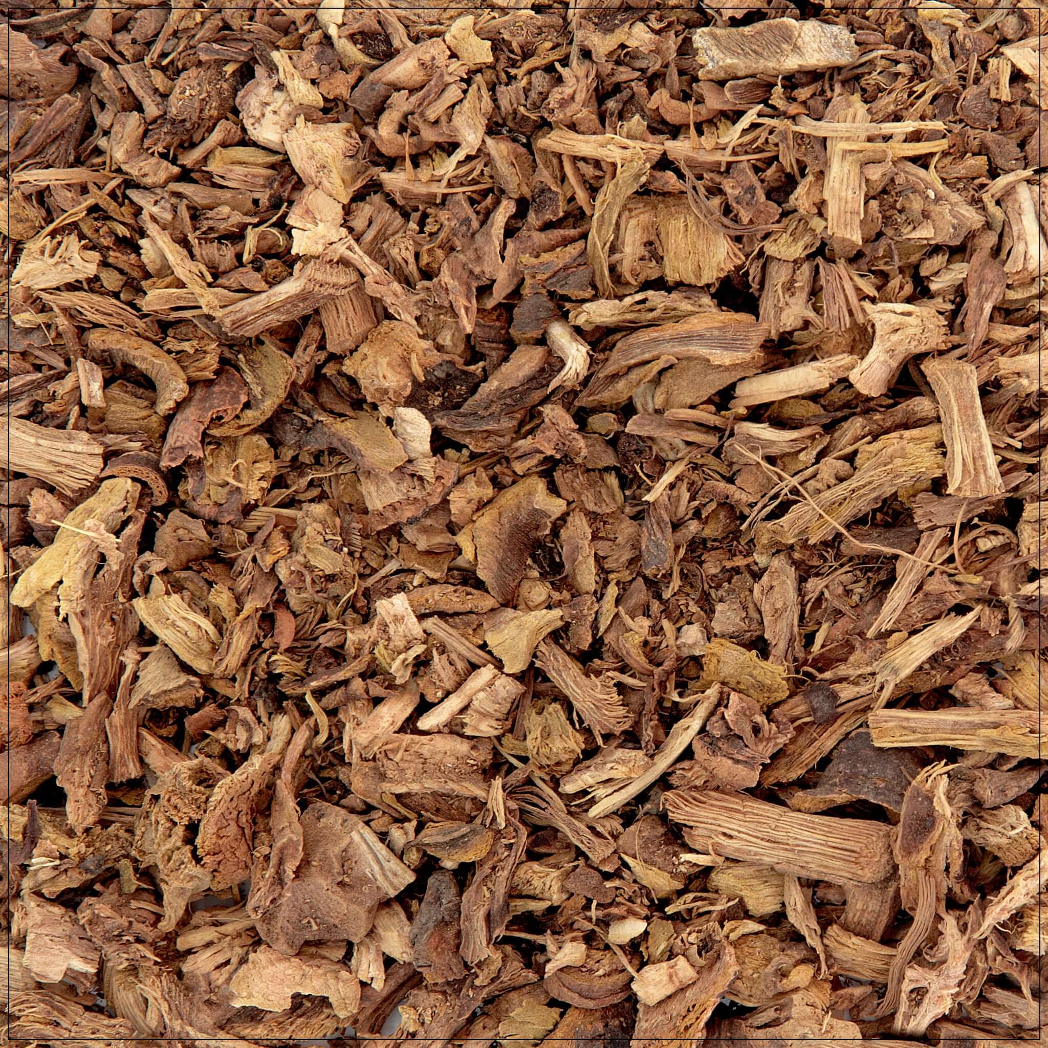 Yellow Dock Root